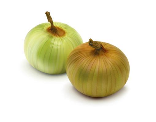 File:Two Onions.jpg