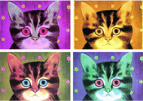 File:Neon cat.jpg