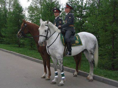 File:Russian horses.png