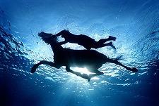 File:Blue horse underwater3.jpg