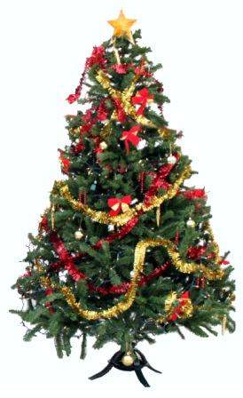 File:Christmas tree.jpg