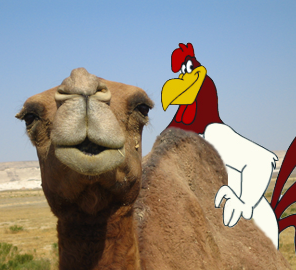 File:Chicken Camel Love.png