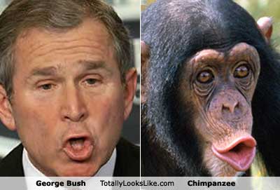 File:George W Bush Monkey.jpg
