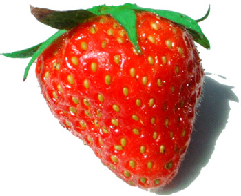 File:Strawberry.jpg