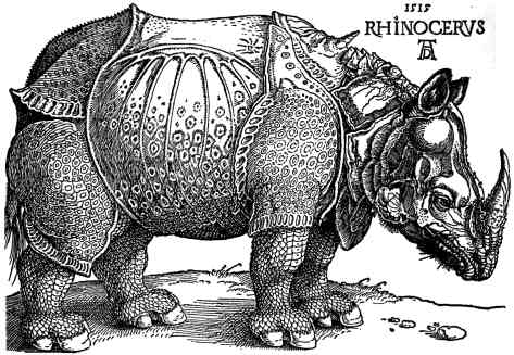 File:Dürer-Rhinoceros.jpg