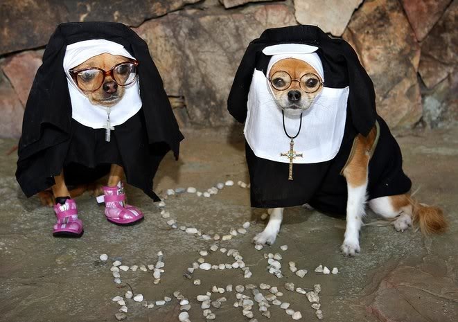 File:Barking nun.jpg