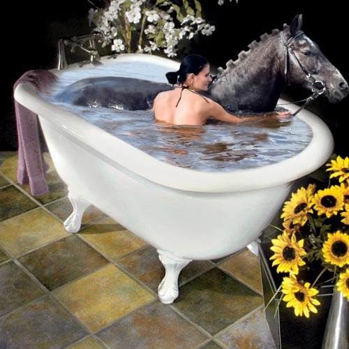 File:Horse in bathtub.jpg