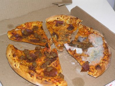 File:Moldy pizza.JPG