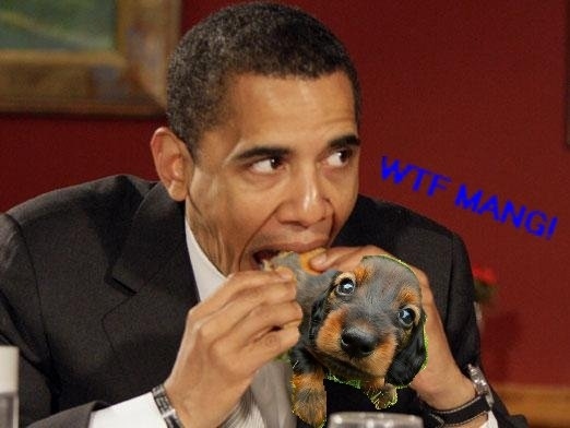 File:Obama eats dog.jpg