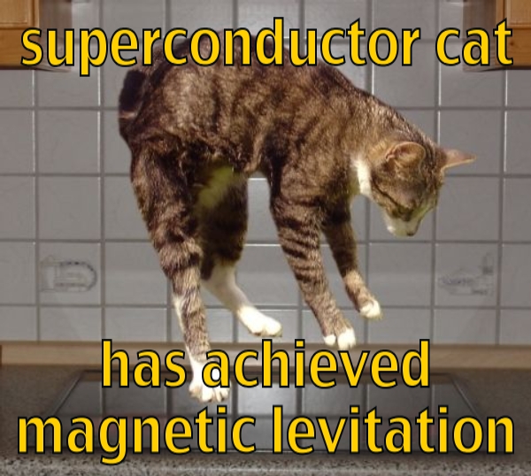 File:Superconductor cat.jpg