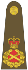 File:UK-Army-OF10.gif