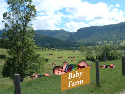 File:Babyfarm.jpg