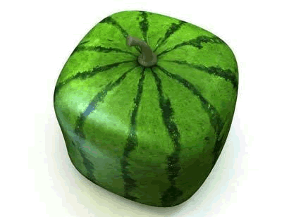 File:Square-watermelon.gif