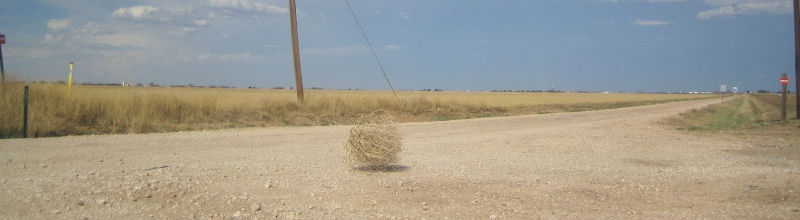 Long Tumbleweed.jpg