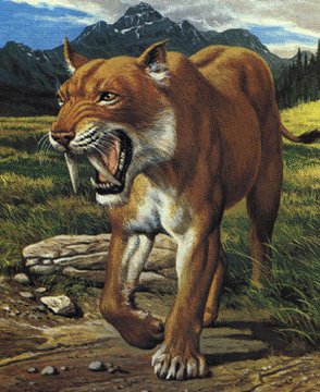 Saber toothed tiger.jpg