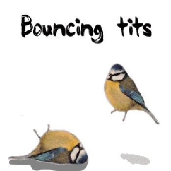 Bouncing tits.gif