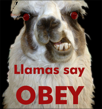 File:Llamas say obey.jpg
