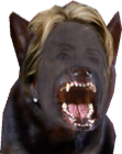 File:Hilary.png