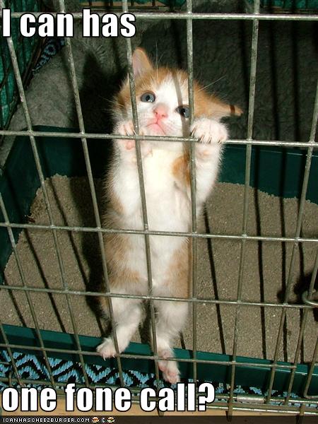 File:Kat jail.jpg