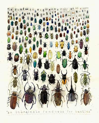 File:Inordinate fondness for beetles.jpg