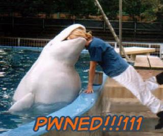 File:Pwned by whale.jpg