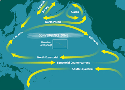 File:North Pacific Subtropical Convergence Zone.jpg