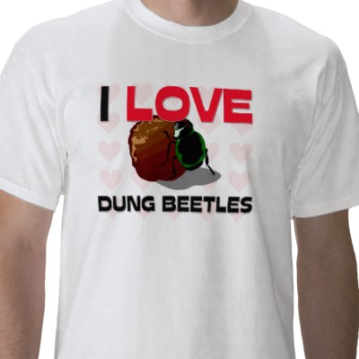 File:Dung beetles1.jpg
