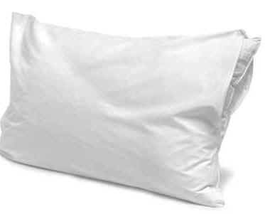 Fierce pillow.jpg