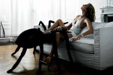 File:Spider-sexy.jpg