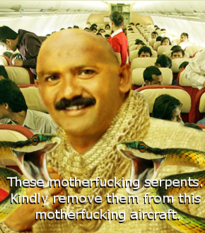 File:Snakes on a Plane Bollywood (crop).png