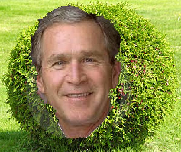 File:George The Bush.png