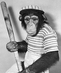 File:Baseball monkey.jpg