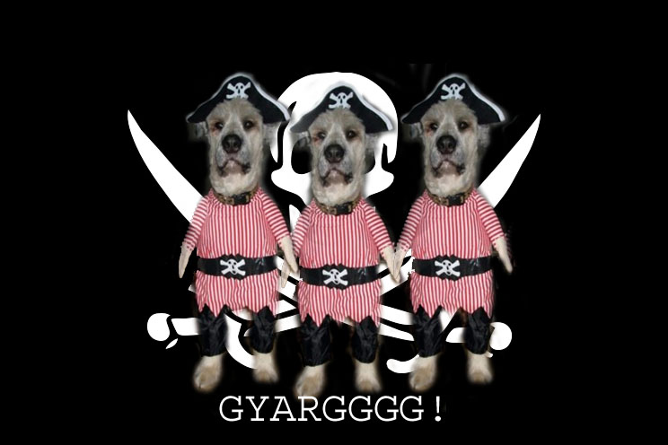 File:Piratedogs.jpg