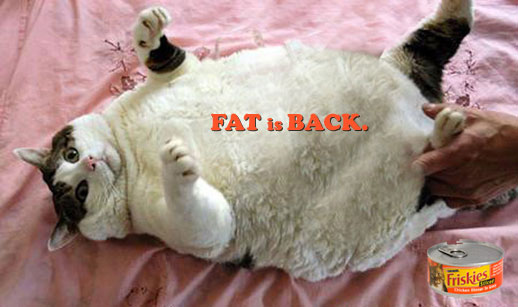 File:FAT-CAT2.jpg