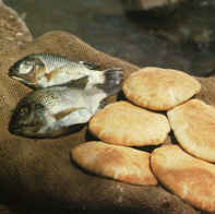 File:Loaves fishes tilapia002.jpg