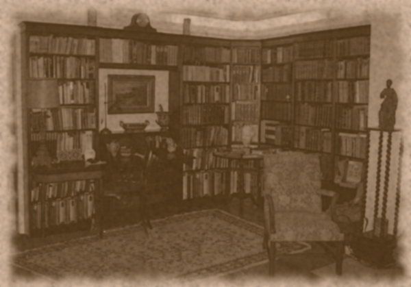File:Aitd Library background.png