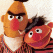 Bert5.gif