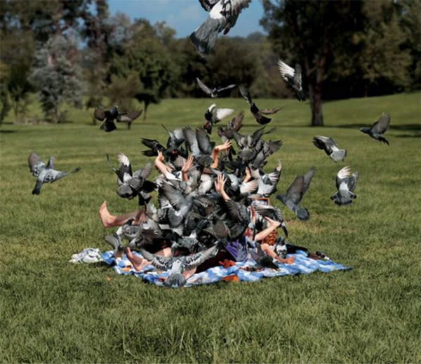 File:Liv pigeon-attack.jpg