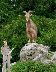File:Goat Musters Work Experience Boy.png