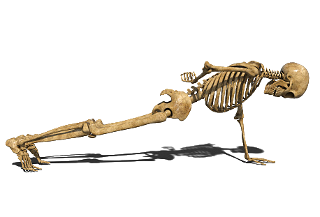 File:Skeleton pushups.png