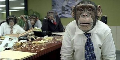 File:Monkey Office 1A.jpg
