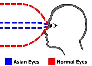 File:Eyes Diagram.jpg