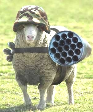 File:Battle Sheep.jpg
