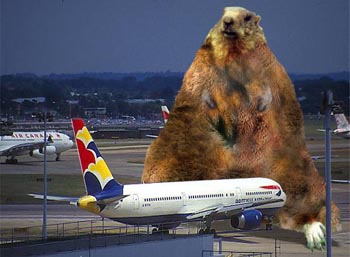 File:Marmotplane.jpg