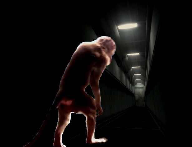 File:Monkey corridor.JPG