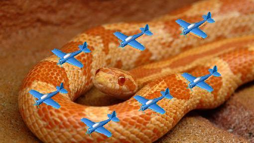 File:Planes on a Snake.jpg