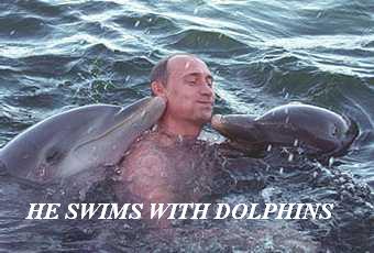File:Putinbrain vs dolphins.jpg
