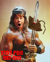 File:Irwin the Barbarian.png