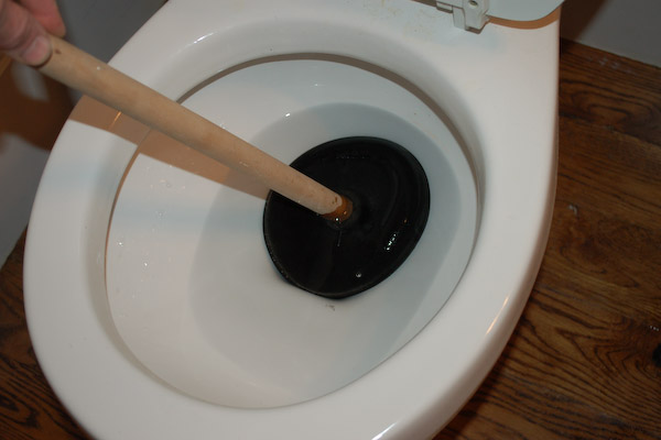 File:Plunger-In-A-Toilet.jpg
