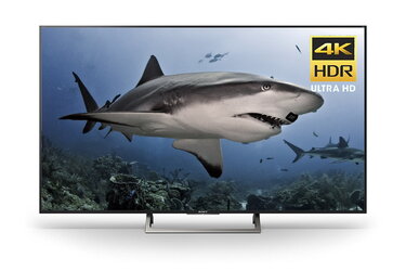 File:Shark hitler on 4K tv.jpg